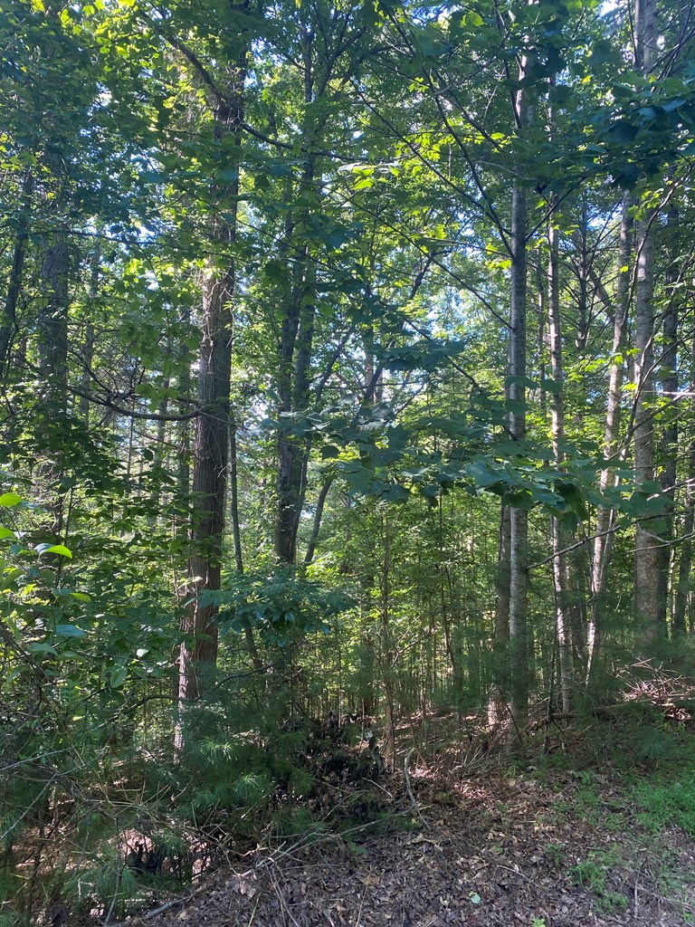 417577 Blairsville Land
