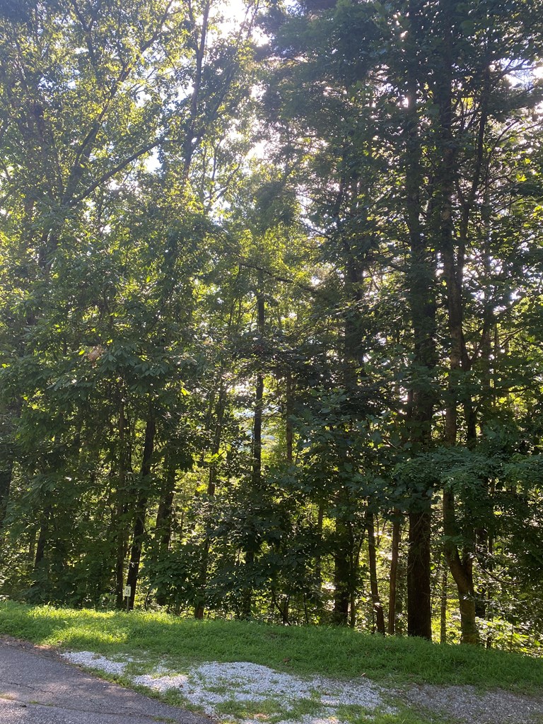 417578 Blairsville Land