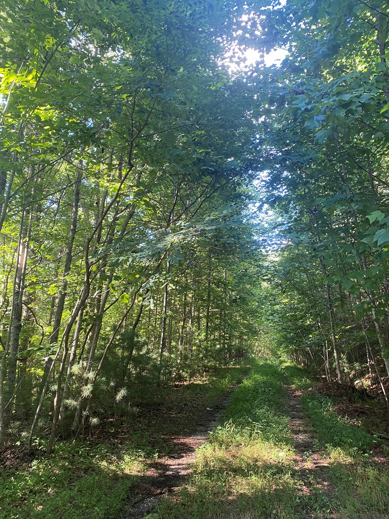 417578 Blairsville Land