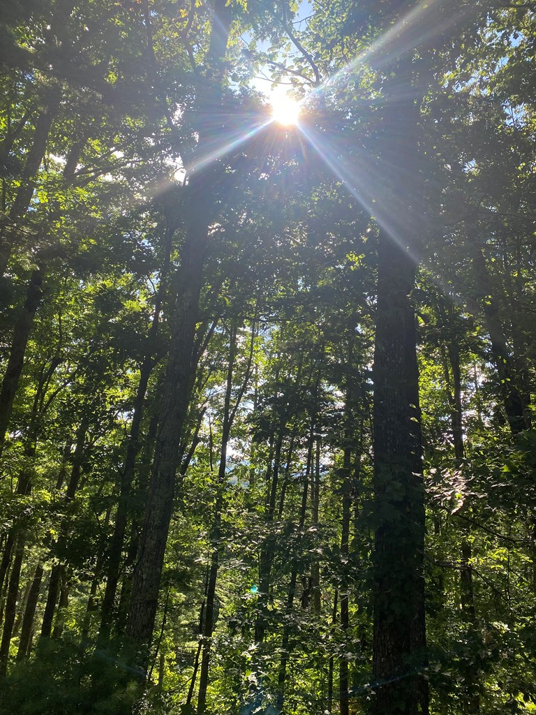 417578 Blairsville Land