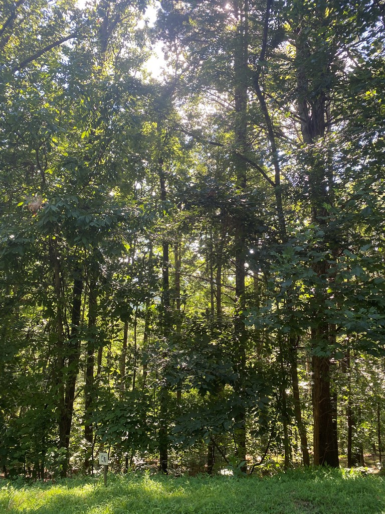 417578 Blairsville Land