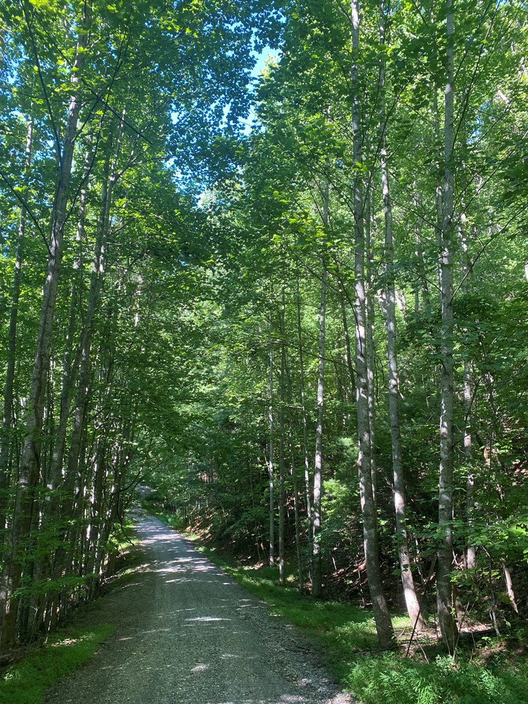 417580 Blairsville Land