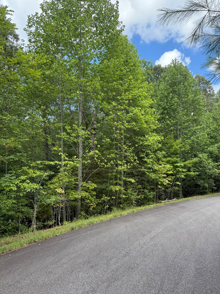 417581 Morganton Land