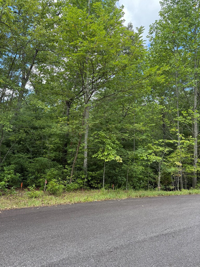 417581 Morganton Land