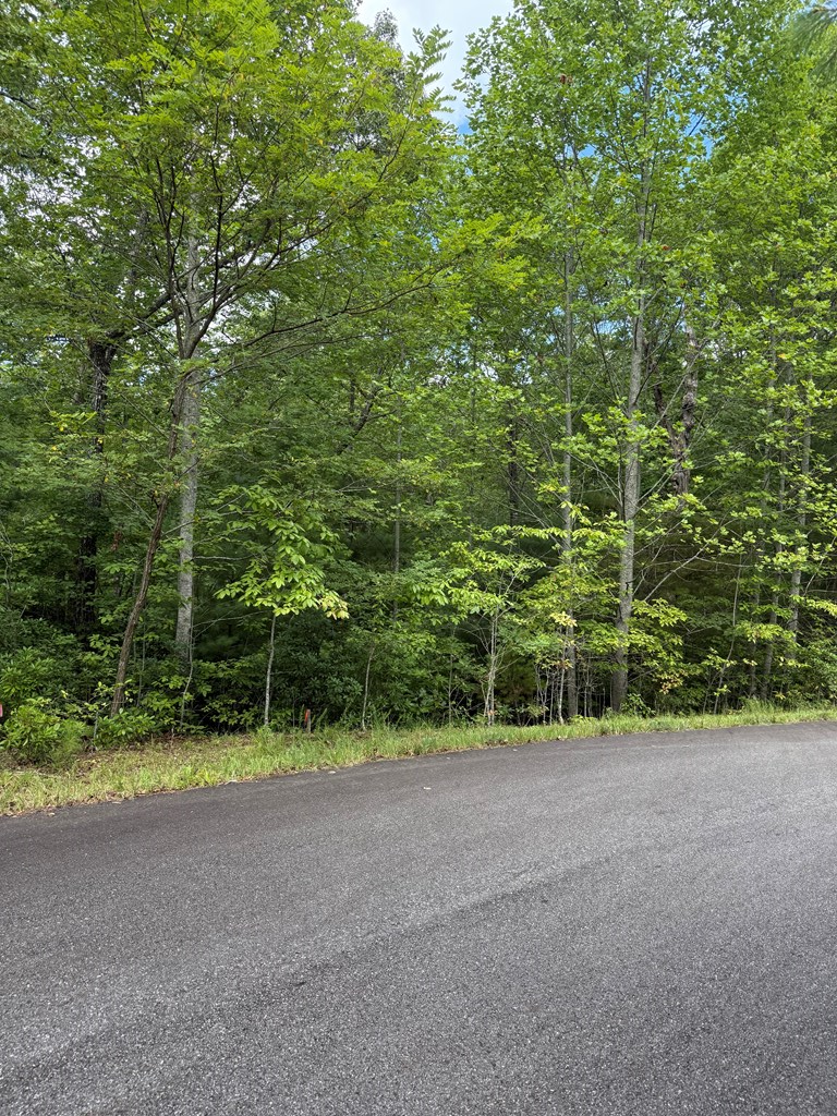 417581 Morganton Land
