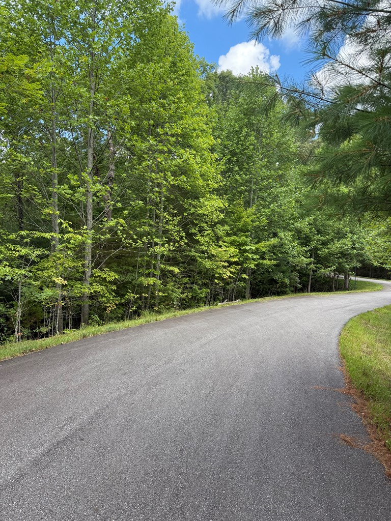 417581 Morganton Land