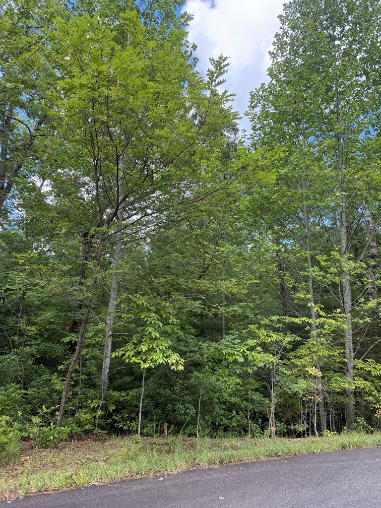 417581 Morganton Land