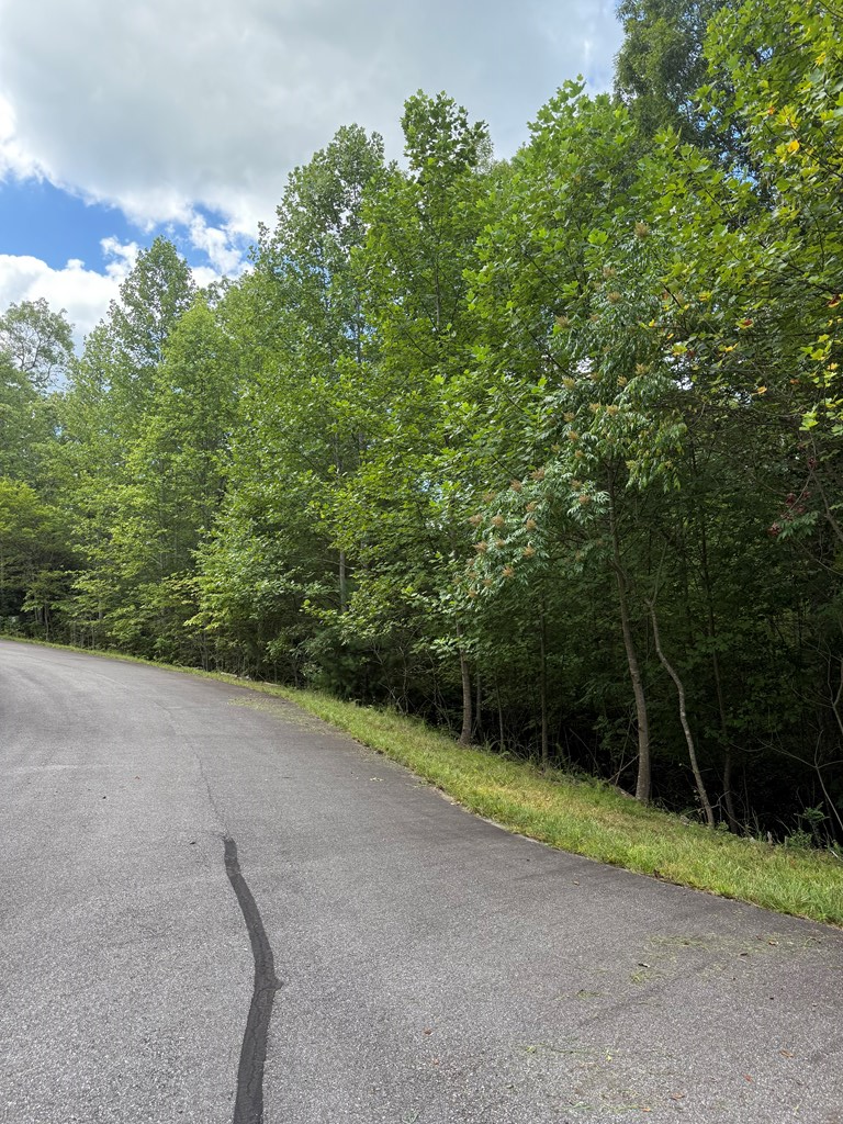 417581 Morganton Land