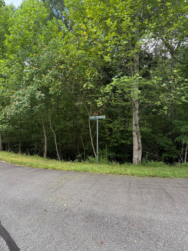 417581 Morganton Land