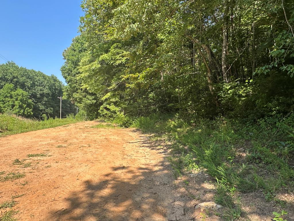417583 Hayesville 