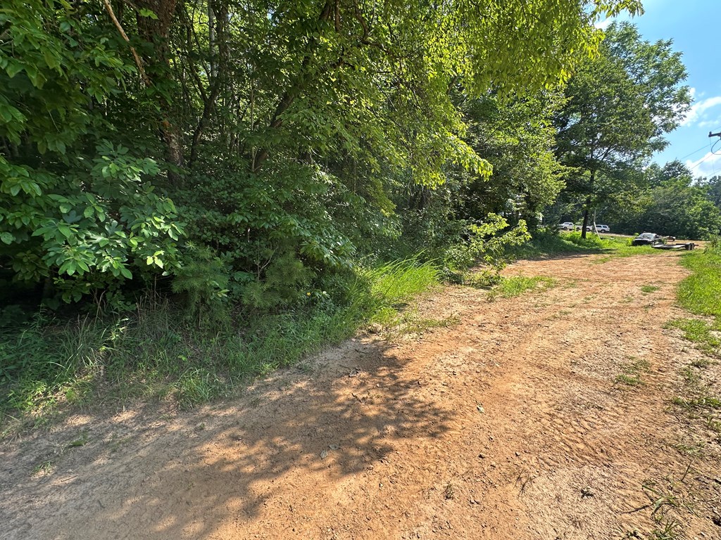 417583 Hayesville Land