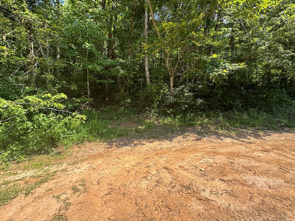 417583 Hayesville Land