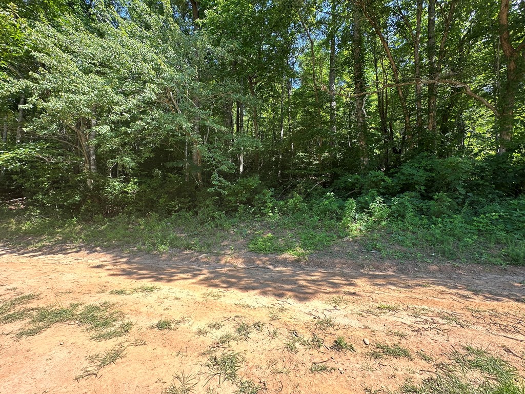417583 Hayesville Land
