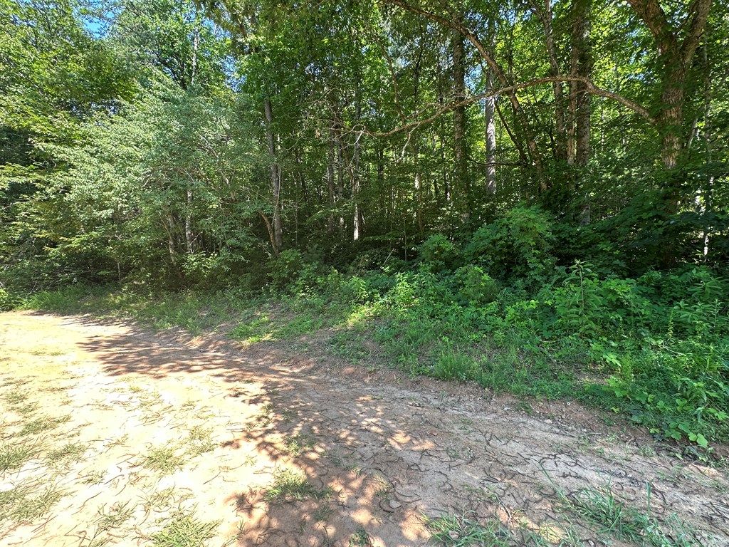 417583 Hayesville Land