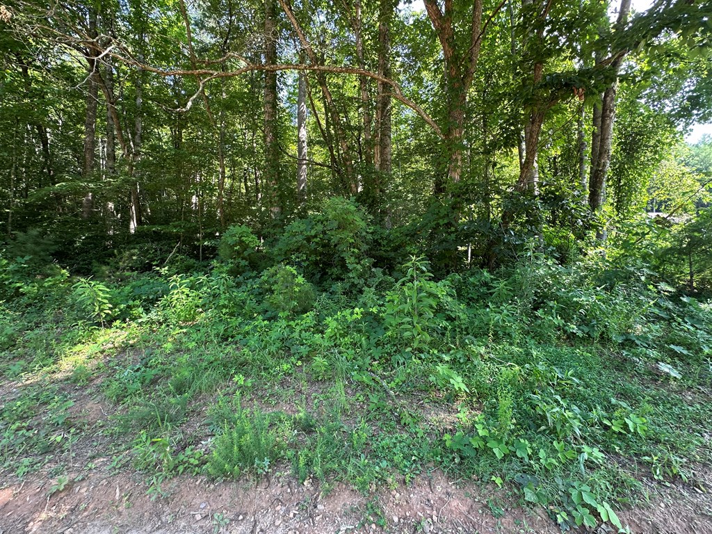 417583 Hayesville Land