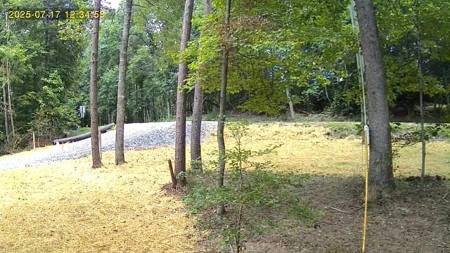 417585  Land