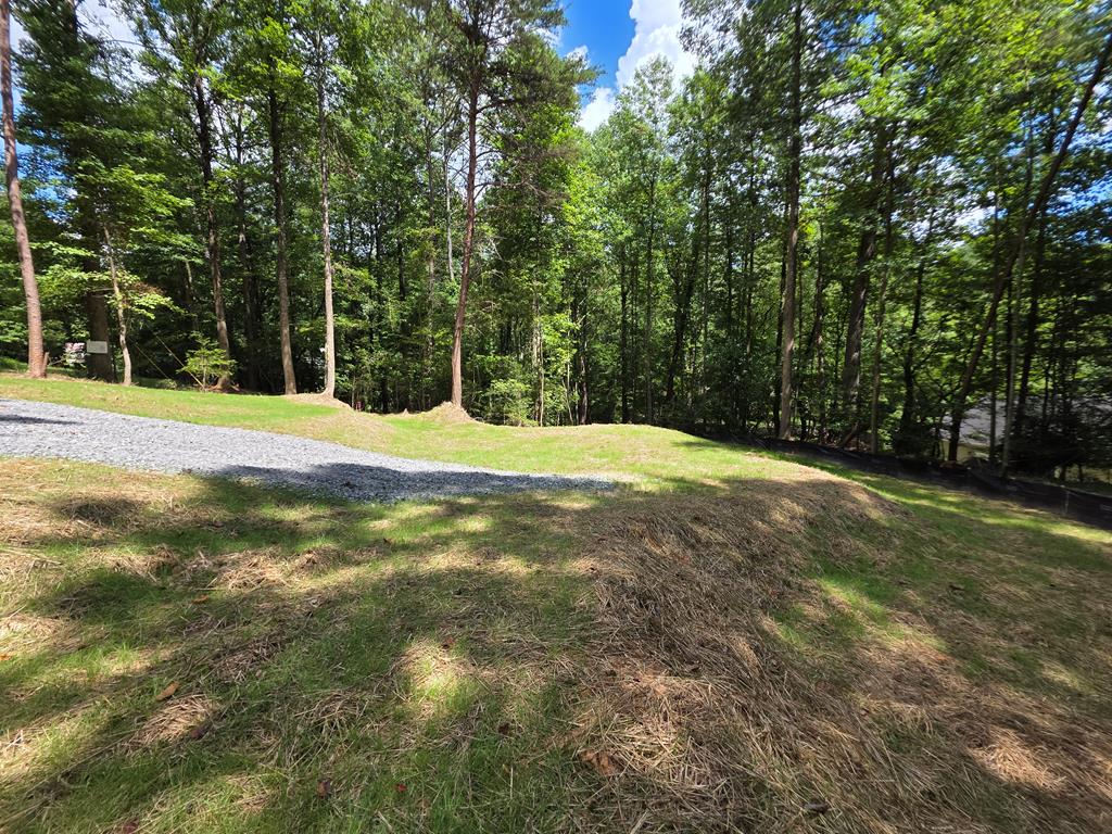 417585 Ellijay Land