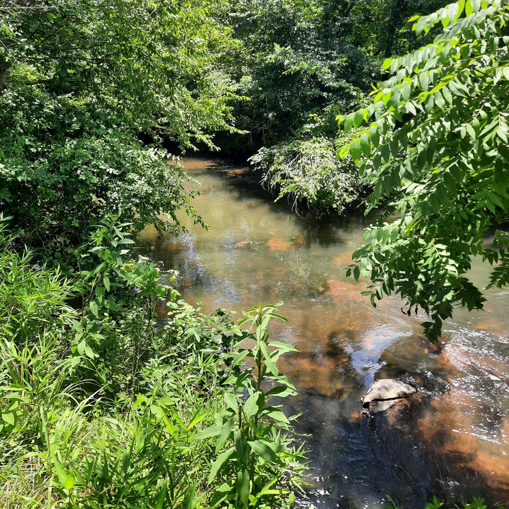 417585 Ellijay Land
