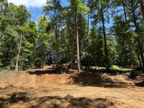 417585 Ellijay Land