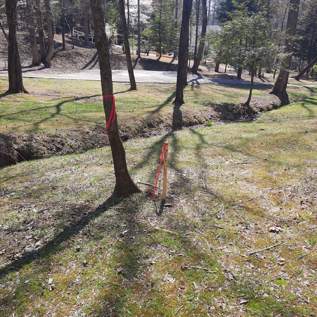 417585 Ellijay Land