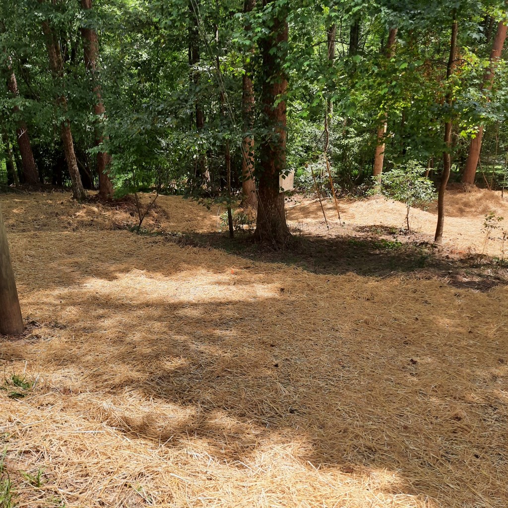 417585 Ellijay Land