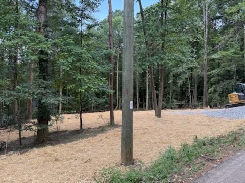 417585 Ellijay Land