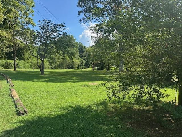 417590 Ellijay Land
