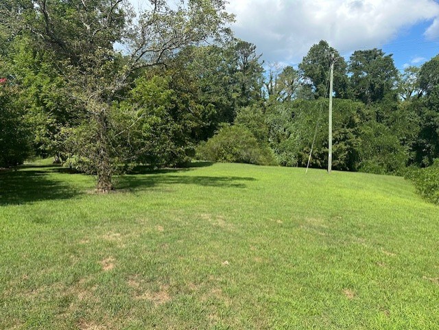 417590 Ellijay Land