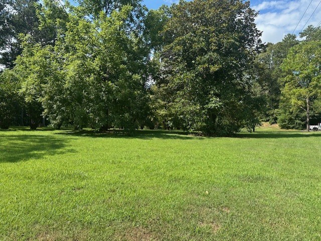 417590 Ellijay Land