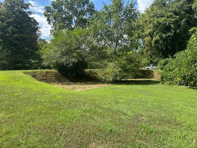 417590 Ellijay Land