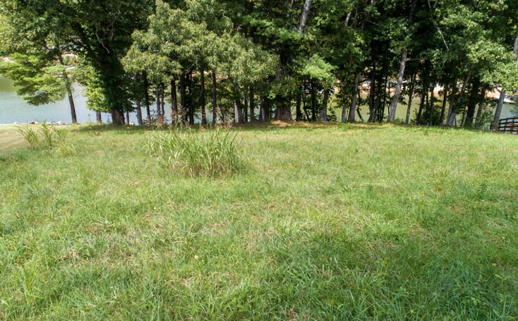 417592 Blairsville Land