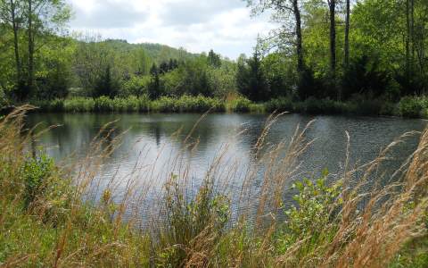 417593  Land