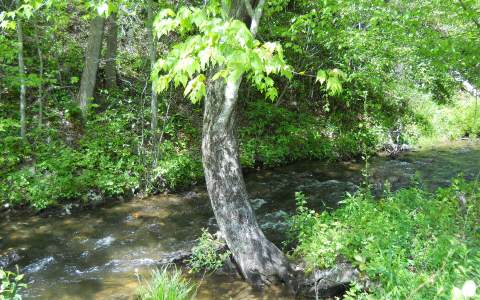 417593 Hayesville Land
