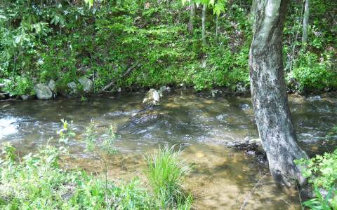 417593 Hayesville Land