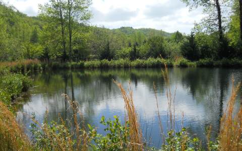 417593 Hayesville Land