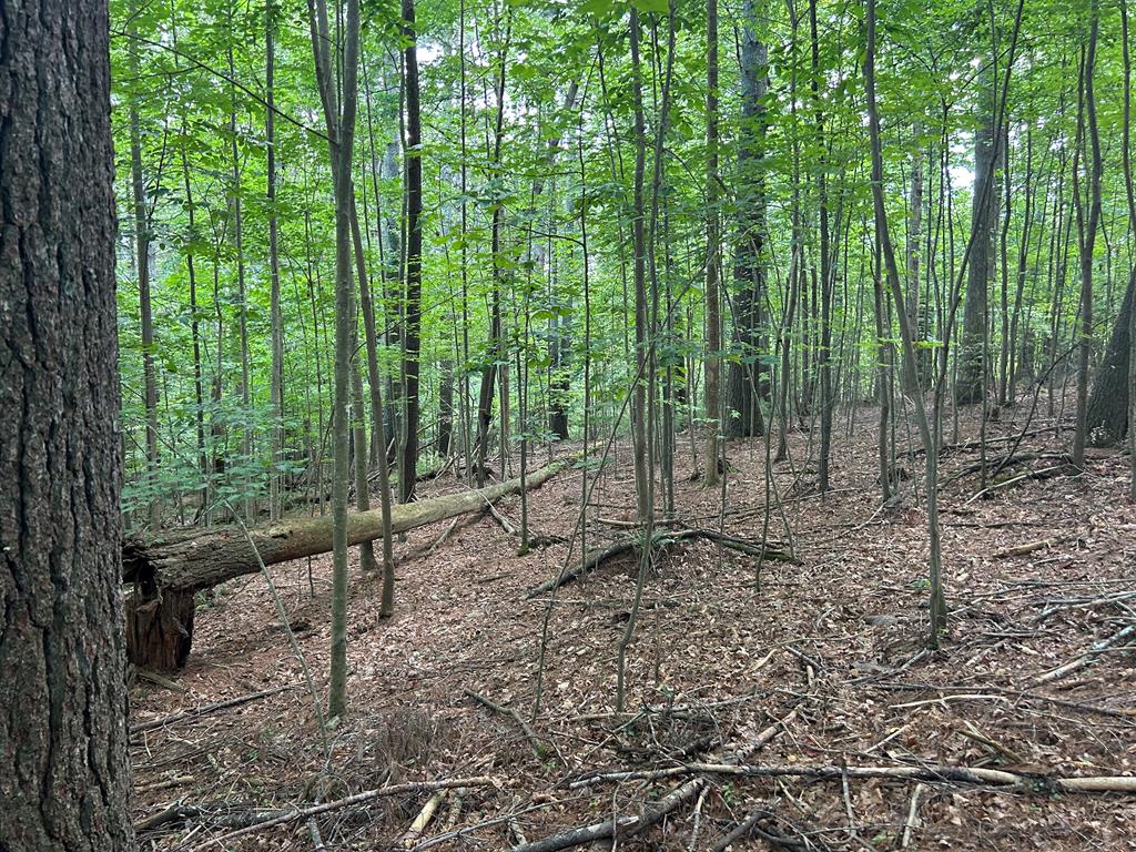 417600  Land