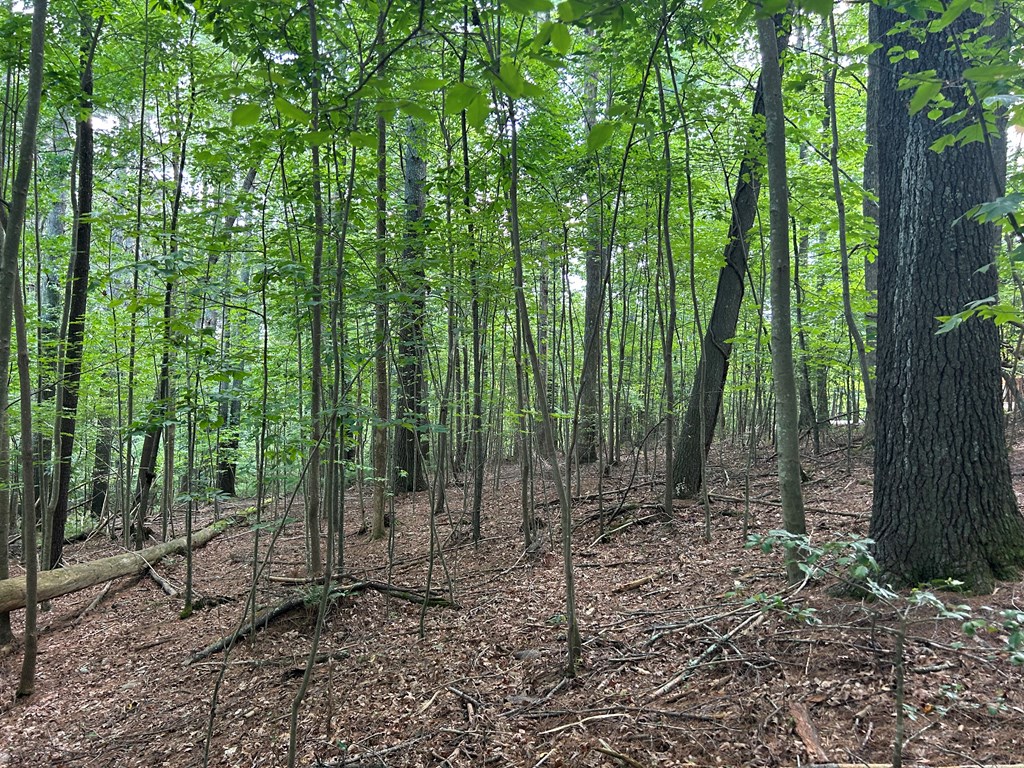 417600 Blairsville Land