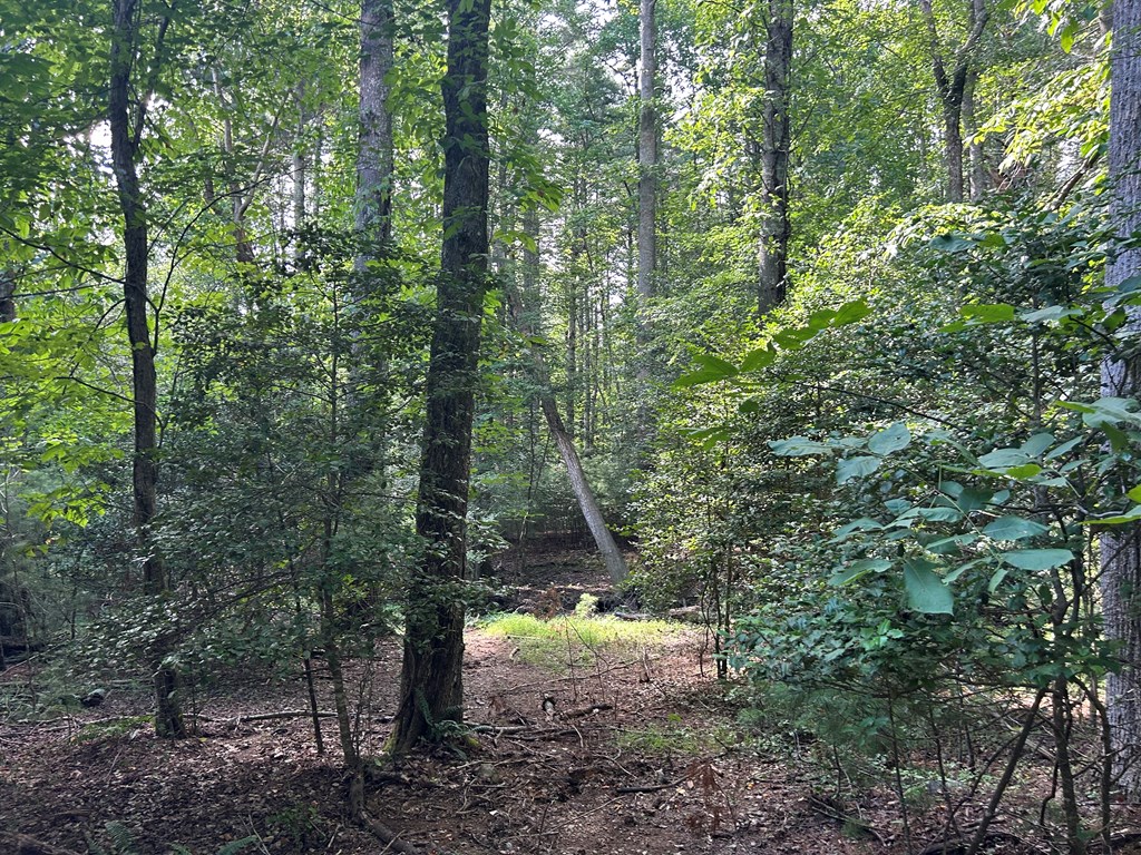 417600 Blairsville Land