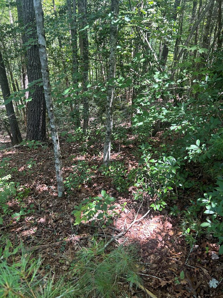 417612  Land