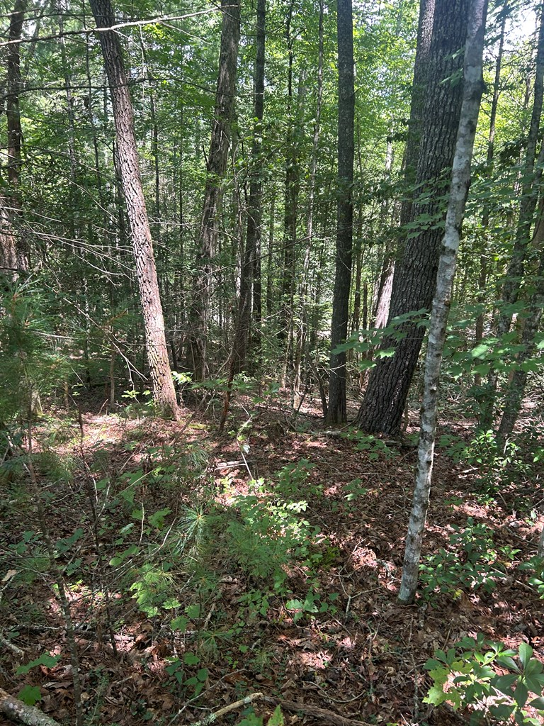 417612 Murphy Land