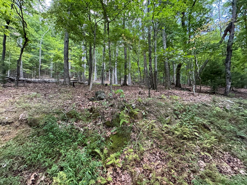 417613 Morganton Land