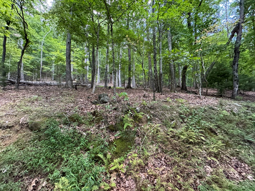 417613 Morganton Land