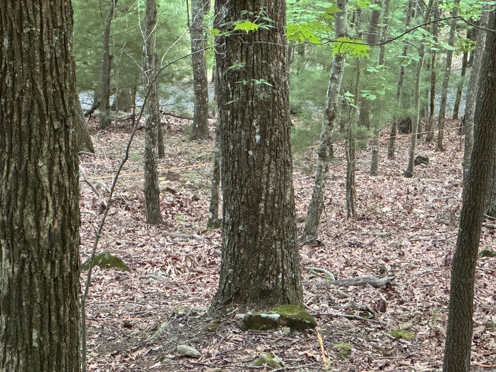 417613 Morganton Land