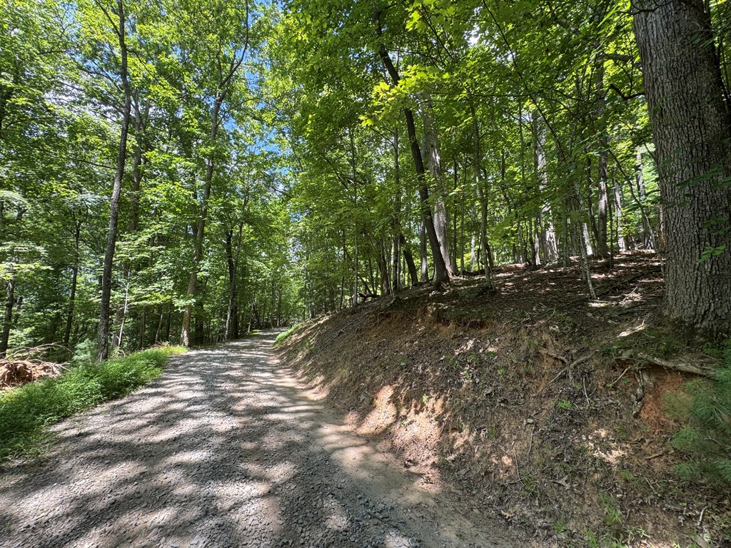417613 Morganton Land