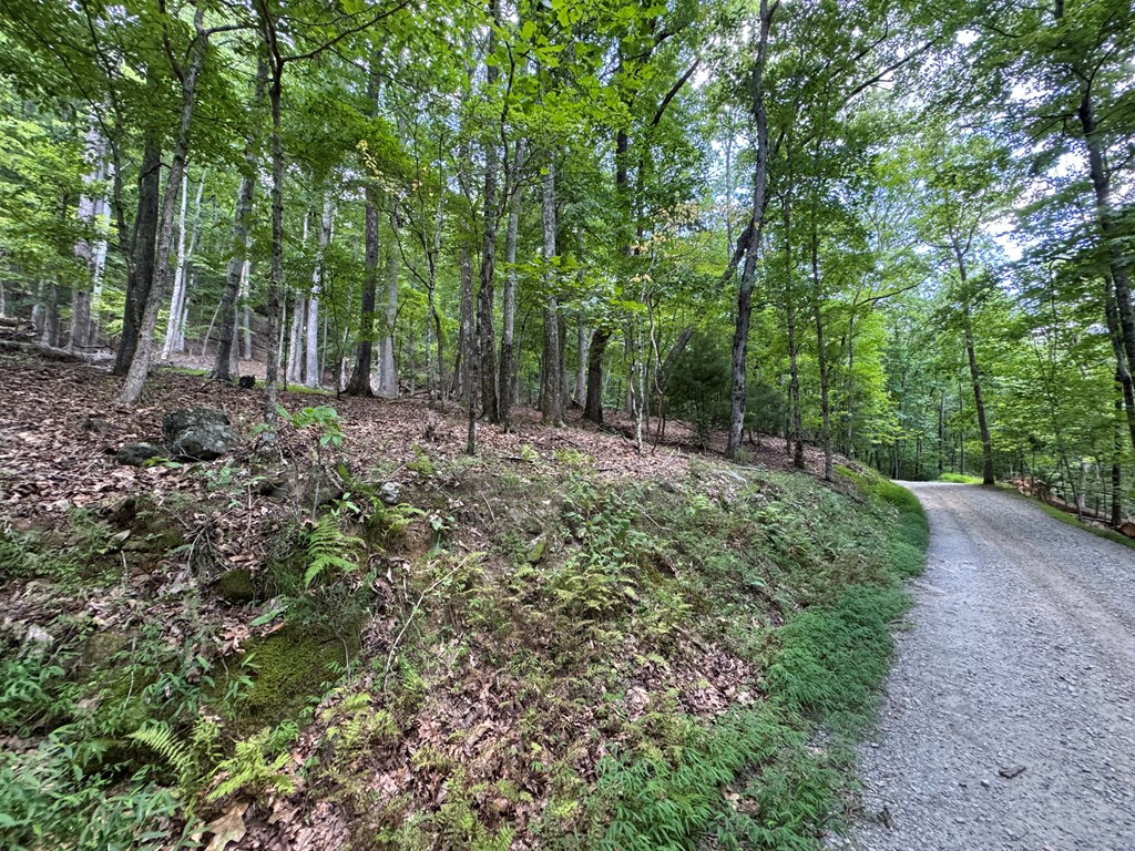 417613 Morganton Land