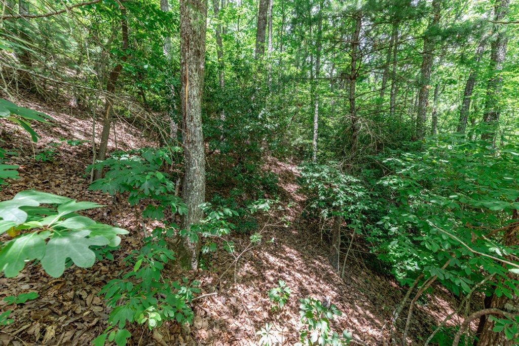 417614 Murphy Land