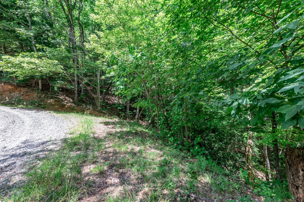 417614 Murphy Land