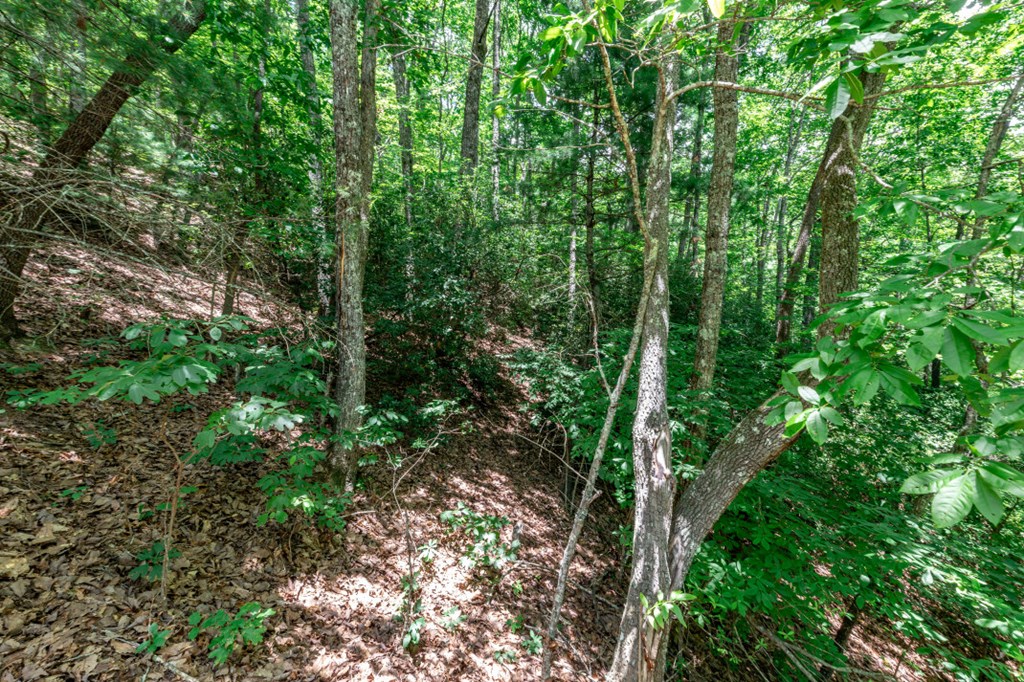 417614 Murphy Land