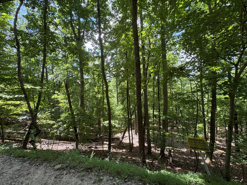 417615 Morganton Land