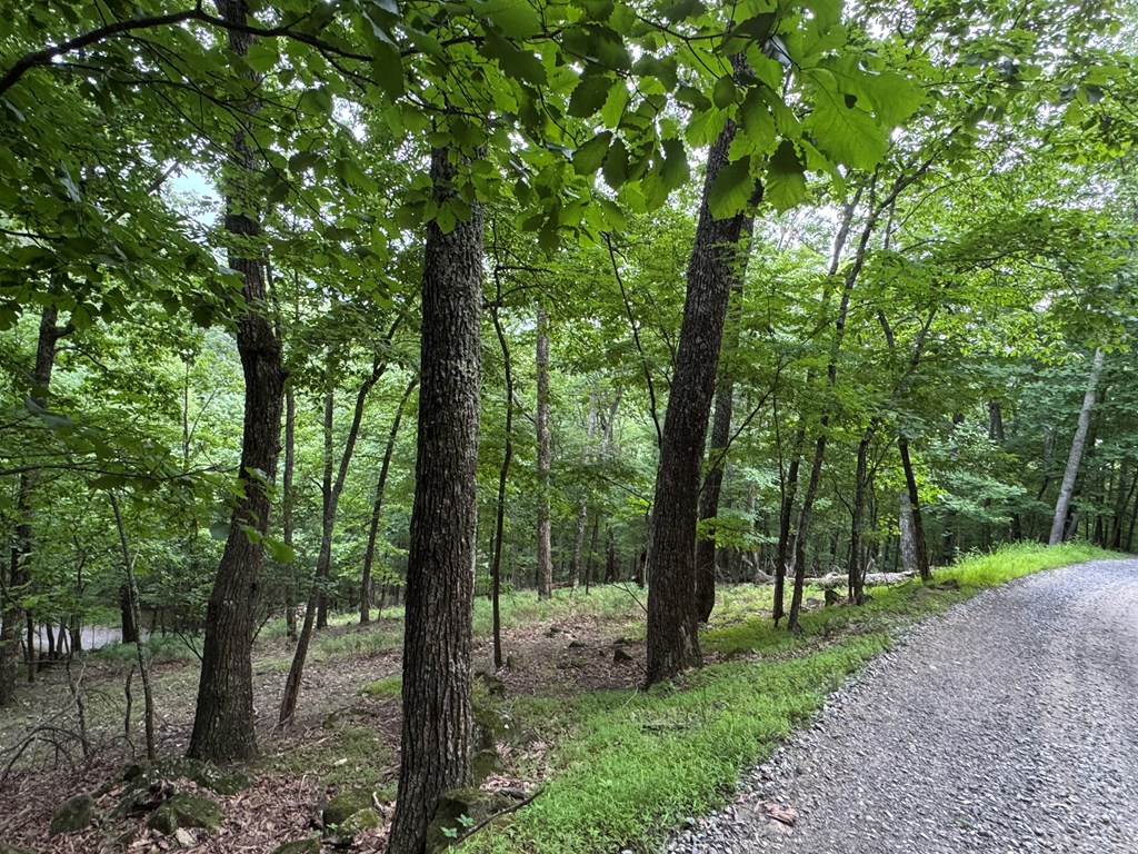 417615 Morganton Land